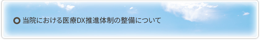 ���@�ɂ�������DX���i�̐��̐����ɂ���